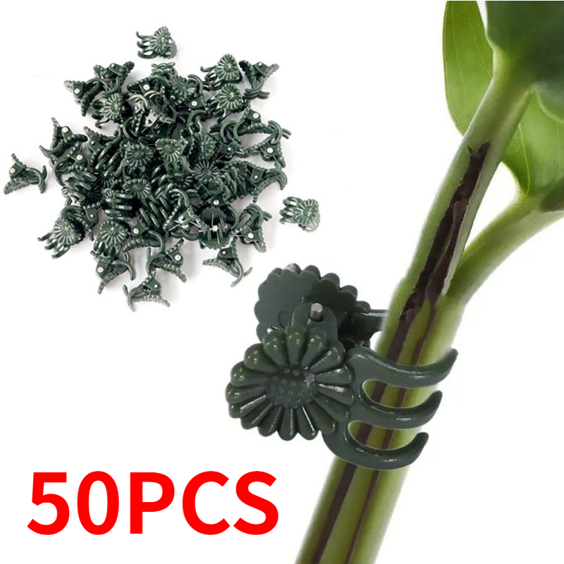 50PCS 5-Claw Dark Green Plant  - Vine Climbing Plastic review and price