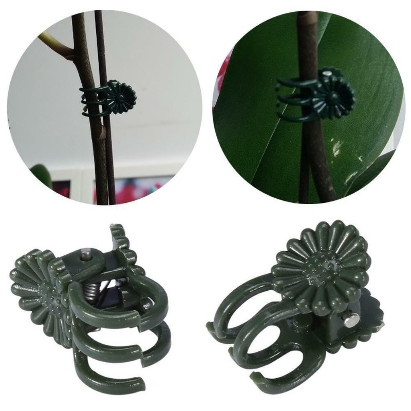 50PCS 5-Claw Dark Green Plant  - Vine Climbing Plastic review and price