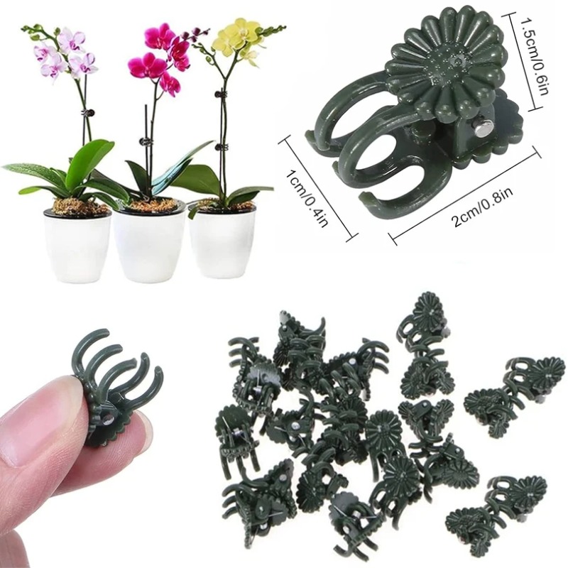 50PCS 5-Claw Dark Green Plant  - Vine Climbing Plastic review and price