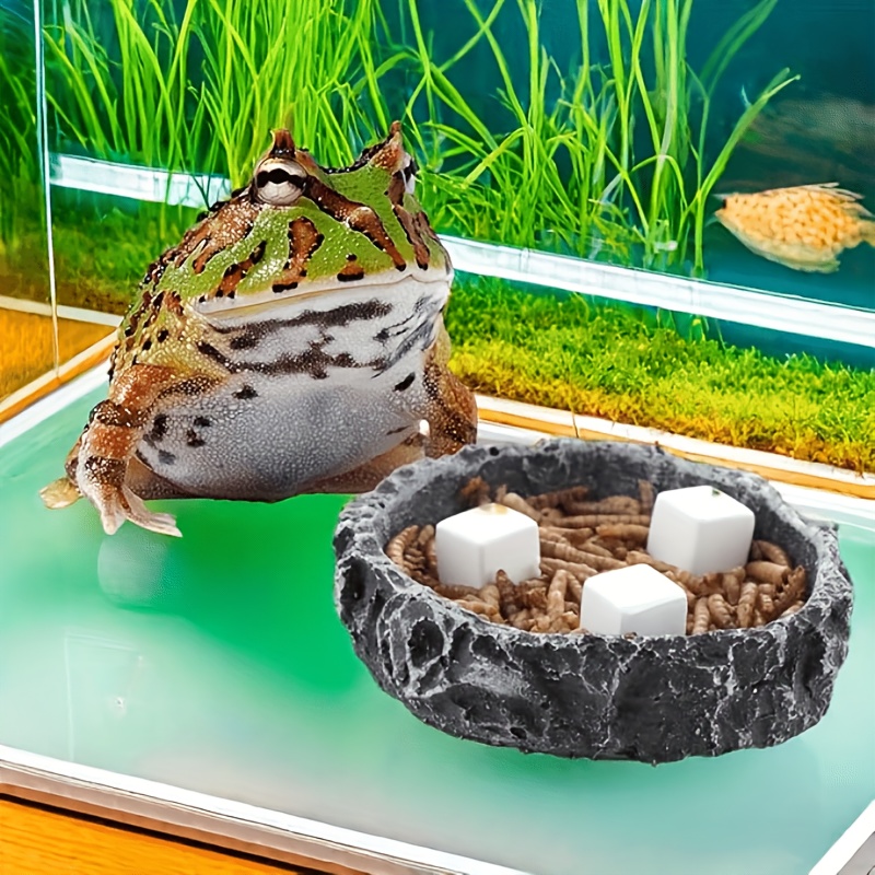6Pcs Fish Tank Calcium Block M - Calcium Powder Reptile review and price