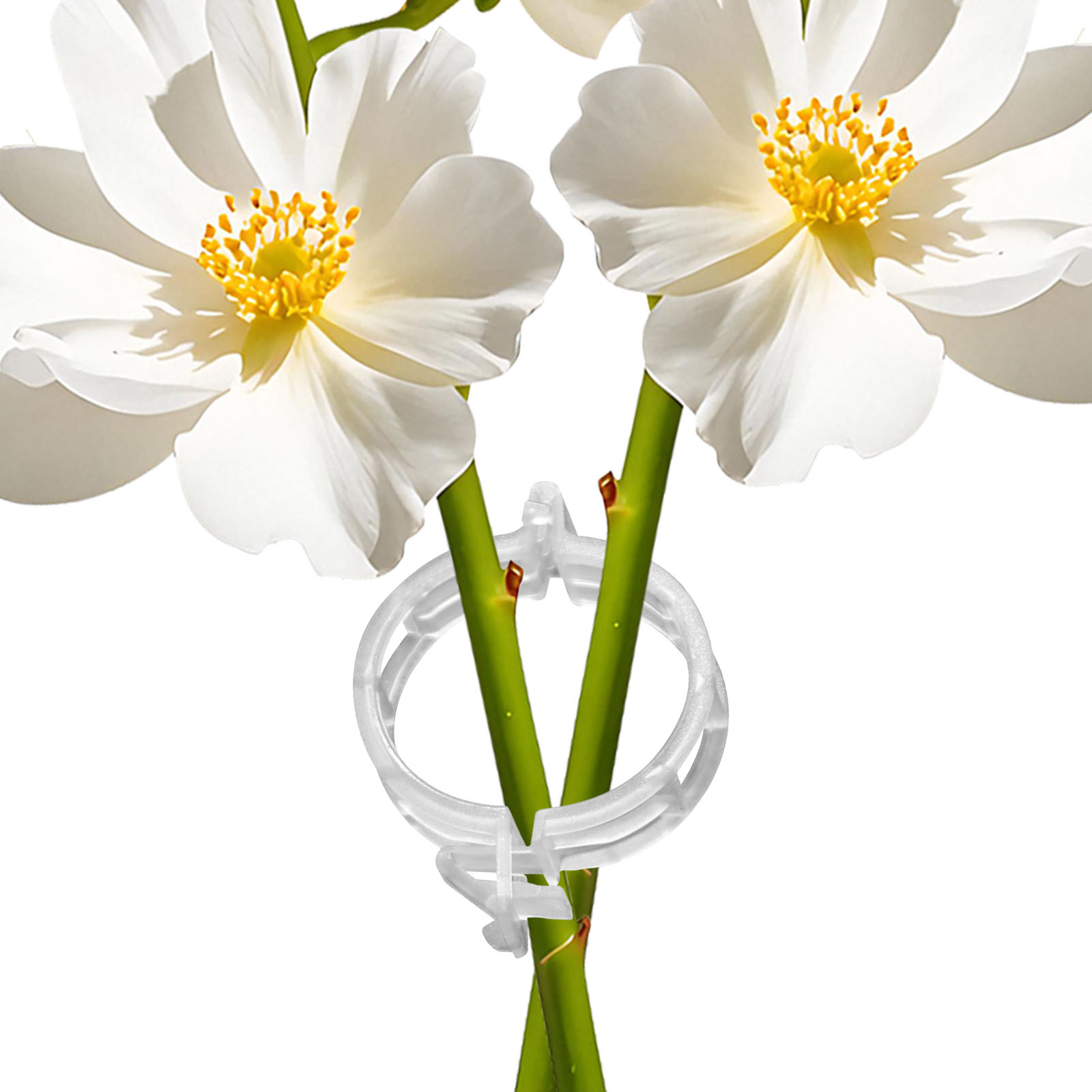 Secured Plastic Plant Clip for - Vine Climbing Plastic review and price