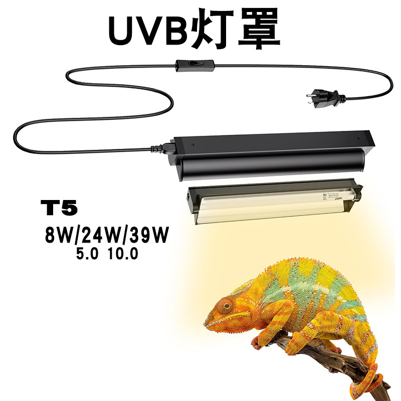 T5 UVB Tube With Integrated Fi - Calcium Powder Reptile review and price