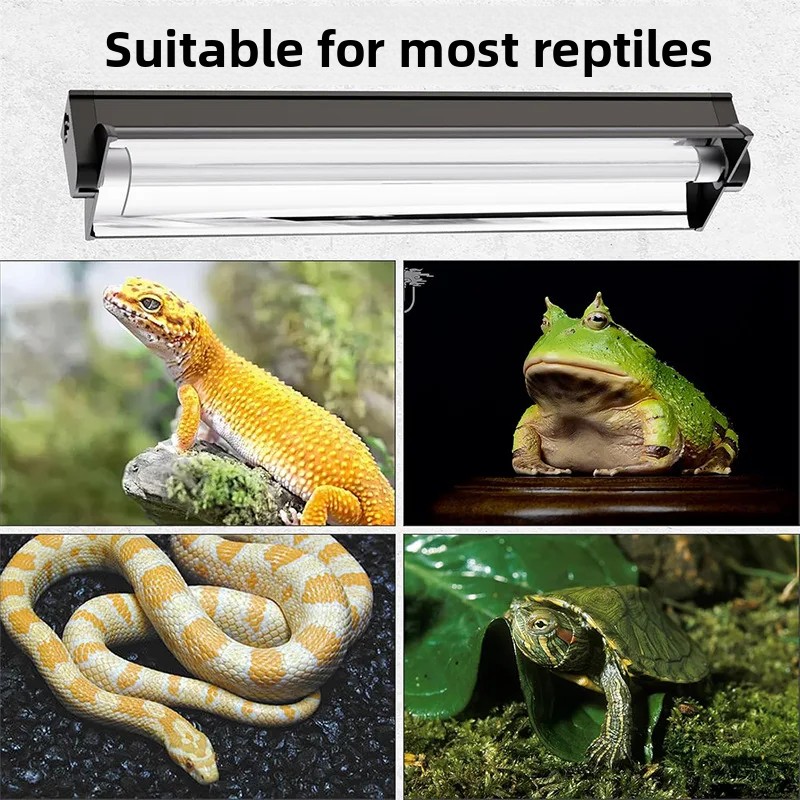 T5 UVB Tube With Integrated Fi - Calcium Powder Reptile review and price